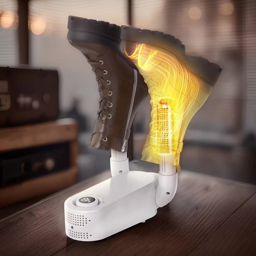 Electric shoe dryer